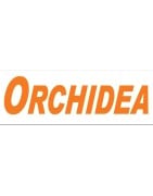 Orchidea
